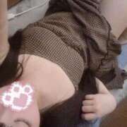 ヒメ日記 2025/09/23 20:21 投稿 ねこ ぽっちゃりきぶん