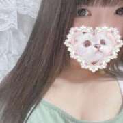 ヒメ日記 2025/09/29 17:04 投稿 ねこ ぽっちゃりきぶん