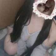 ヒメ日記 2025/10/09 14:58 投稿 ねこ ぽっちゃりきぶん