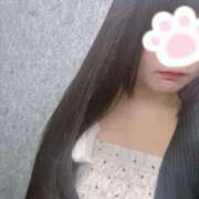 ヒメ日記 2025/10/10 15:57 投稿 ねこ ぽっちゃりきぶん