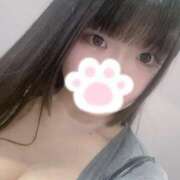 ヒメ日記 2025/10/18 15:58 投稿 ねこ ぽっちゃりきぶん