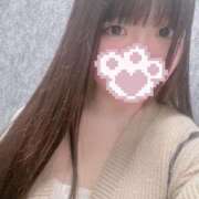 ヒメ日記 2025/10/22 15:00 投稿 ねこ ぽっちゃりきぶん