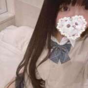 ヒメ日記 2025/10/29 15:04 投稿 ねこ ぽっちゃりきぶん