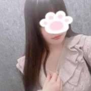 ヒメ日記 2025/11/02 15:15 投稿 ねこ ぽっちゃりきぶん