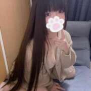 ヒメ日記 2025/11/02 17:50 投稿 ねこ ぽっちゃりきぶん