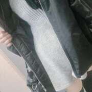 ヒメ日記 2025/11/03 15:04 投稿 ねこ ぽっちゃりきぶん