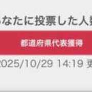 ヒメ日記 2025/11/04 20:21 投稿 ねこ ぽっちゃりきぶん