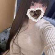 ヒメ日記 2025/11/11 18:45 投稿 ねこ ぽっちゃりきぶん