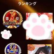 ヒメ日記 2025/11/12 14:41 投稿 ねこ ぽっちゃりきぶん