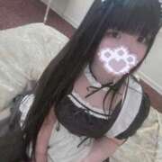 ヒメ日記 2025/11/20 15:03 投稿 ねこ ぽっちゃりきぶん