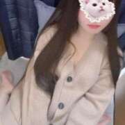 ヒメ日記 2025/12/05 11:29 投稿 ねこ ぽっちゃりきぶん