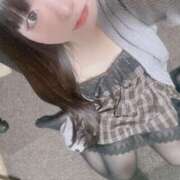 ヒメ日記 2025/12/05 18:13 投稿 ねこ ぽっちゃりきぶん