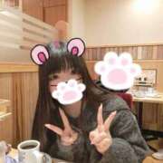 ねこ おしらせ❣ ぽっちゃりきぶん