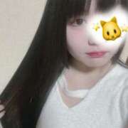 ヒメ日記 2025/12/15 14:59 投稿 ねこ ぽっちゃりきぶん