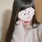 ねこ 出勤です💖 ぽっちゃりきぶん