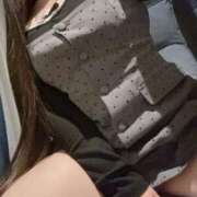 ヒメ日記 2025/12/29 13:04 投稿 ねこ ぽっちゃりきぶん