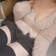 ヒメ日記 2025/12/30 13:19 投稿 ねこ ぽっちゃりきぶん