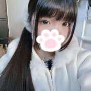 ヒメ日記 2026/01/12 16:08 投稿 ねこ ぽっちゃりきぶん