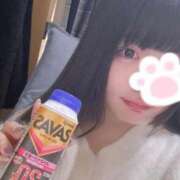 ヒメ日記 2026/01/15 17:26 投稿 ねこ ぽっちゃりきぶん