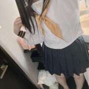 ヒメ日記 2026/01/19 07:01 投稿 ねこ ぽっちゃりきぶん