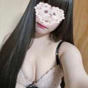 ヒメ日記 2026/01/19 13:41 投稿 ねこ ぽっちゃりきぶん