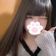 ヒメ日記 2026/01/19 16:25 投稿 ねこ ぽっちゃりきぶん