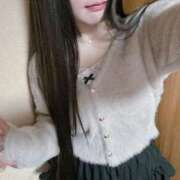 ヒメ日記 2026/01/28 10:03 投稿 ねこ ぽっちゃりきぶん