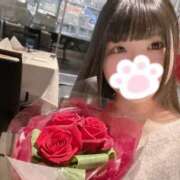 ヒメ日記 2026/01/28 22:16 投稿 ねこ ぽっちゃりきぶん