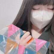 ヒメ日記 2026/02/03 20:59 投稿 ねこ ぽっちゃりきぶん