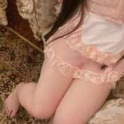 ヒメ日記 2026/02/09 15:07 投稿 ねこ ぽっちゃりきぶん