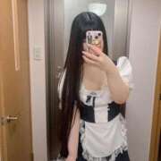 ヒメ日記 2026/02/12 15:04 投稿 ねこ ぽっちゃりきぶん