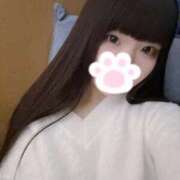 ヒメ日記 2026/02/15 14:11 投稿 ねこ ぽっちゃりきぶん