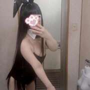 ヒメ日記 2026/02/17 15:08 投稿 ねこ ぽっちゃりきぶん