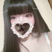 ヒメ日記 2026/02/18 15:33 投稿 ねこ ぽっちゃりきぶん