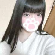 ヒメ日記 2026/03/11 17:01 投稿 ねこ ぽっちゃりきぶん