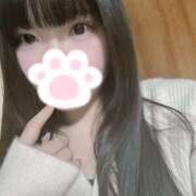 ヒメ日記 2026/03/19 16:35 投稿 ねこ ぽっちゃりきぶん