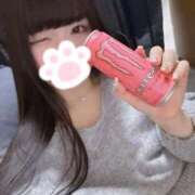 ヒメ日記 2026/03/24 15:32 投稿 ねこ ぽっちゃりきぶん