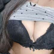 ヒメ日記 2026/04/05 13:11 投稿 ねこ ぽっちゃりきぶん