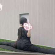 ヒメ日記 2026/04/06 04:22 投稿 ねこ ぽっちゃりきぶん