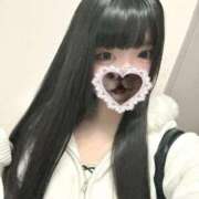 ヒメ日記 2026/04/06 17:04 投稿 ねこ ぽっちゃりきぶん