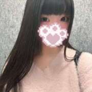 ヒメ日記 2026/04/09 15:06 投稿 ねこ ぽっちゃりきぶん