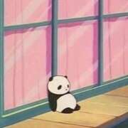 ヒメ日記 2026/04/13 16:08 投稿 ねこ ぽっちゃりきぶん