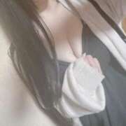 ヒメ日記 2026/04/15 17:07 投稿 ねこ ぽっちゃりきぶん