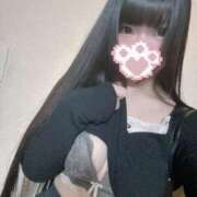 ヒメ日記 2026/04/16 15:08 投稿 ねこ ぽっちゃりきぶん