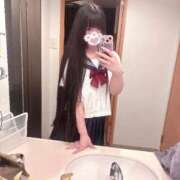 ヒメ日記 2026/04/17 13:55 投稿 ねこ ぽっちゃりきぶん