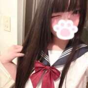 ヒメ日記 2026/04/22 15:03 投稿 ねこ ぽっちゃりきぶん