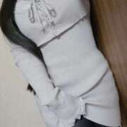 ヒメ日記 2026/04/23 15:22 投稿 ねこ ぽっちゃりきぶん