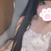 ヒメ日記 2026/07/07 20:15 投稿 ねこ ぽっちゃりきぶん