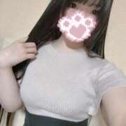ヒメ日記 2026/07/09 15:15 投稿 ねこ ぽっちゃりきぶん