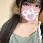 ヒメ日記 2026/07/30 15:02 投稿 ねこ ぽっちゃりきぶん